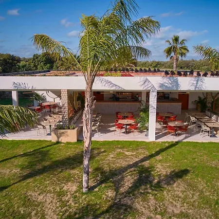 Zafiro Alzinar Mar Adults Only - Refurbished 2025 Hotel 4*